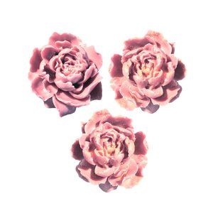 NEW Handmade 3 pc Luxury Rose Petal Pink Soap-free Moisturizing Hand & Body Wash